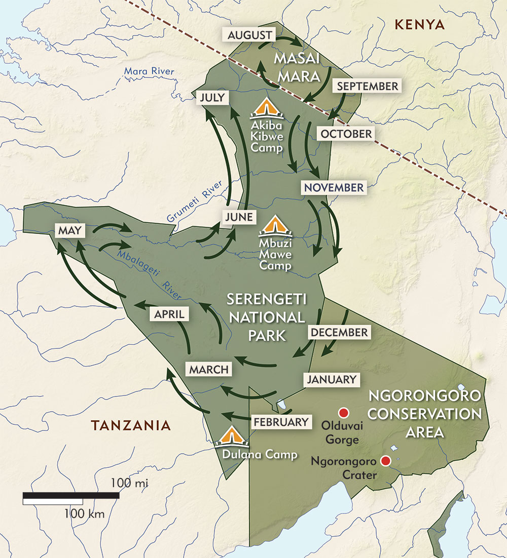 Serengeti Migration Safari Tena Expeditions   Migration Map 